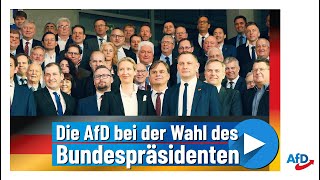 Die AfD bei der Wahl des Bundespräsidenten [upl. by Nylasor103]