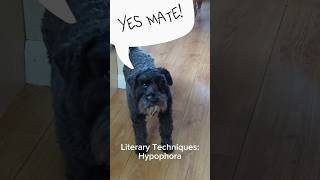 Literary Techniques Hypophora dog tinydawg [upl. by Glanville]