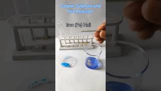 Copper sulphateCuso4 react with ironFe science chemistry practical Cuso4FeFeso4 Cu [upl. by Uahsoj791]