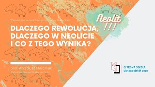 Dlaczego rewolucja dlaczego w Neolicie i co z tego wynika  prof Arkadiusz Marciniak [upl. by Artinad]