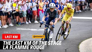 Last Km  Stage 11  Tour de France 2024 [upl. by Enimzaj376]