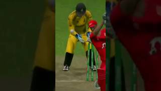 stump flying cricket viratkohli CRICKETLOVER CRICKET SHORTS bolwing punjabi punjabisong [upl. by Aretak498]