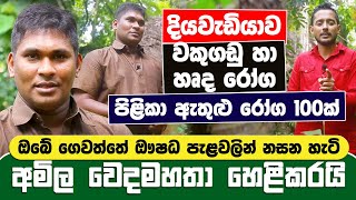 අමිල වෙදමහතාගේ අරුම පුදුම හෙළ ඖෂධ උයන ප්‍රථම වතාවට මාධ්‍යට  Amila Sanjeewa Wedamahatha [upl. by Trixy]