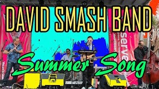 David Smash Band  Summer Song Live at Sarasota Seafood and Music Festival 2017 [upl. by Gnuhn]