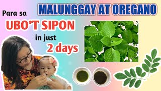 PAANO NAWALA ANG UBOT SIPON NI BABY IN JUST 2 DAYSMALUNGGAY AT OREGANO FAST amp EFFECTIVE REMEDIES [upl. by Joseph531]