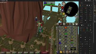 Beaver pet from Redwoods at 45m Woodcutting XP [upl. by Goldarina914]