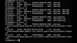 Linux lsscsi Command Examples  Get Info About SCSI  SATA Connected Devices [upl. by Tullus]