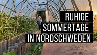 Ruhige Sommertage in Nordschweden [upl. by Odicalp]