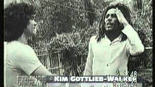 Who Killed Bob Marley Documentary  Strange Universe Documentary [upl. by Suoivatra]