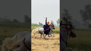 Gol Dumale Faujan Chakarwarti ne manjitsinghsohi reels punjabimela youtubeshorts stunt love [upl. by Gnilrets]