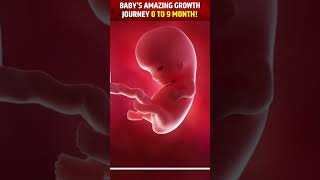 माँ के गर्भ में बच्चे का विकास देखिये HOW MIRACLE IS FORMED IN MOTHERS WOMB🥹😍👼 [upl. by Irisa892]