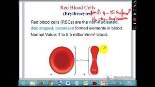 Module 3b  Blood Physiology Part 2 [upl. by Winny]