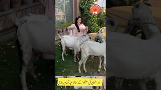 Mawra Hocane eid Videos mawrahocane viral [upl. by Harriett]