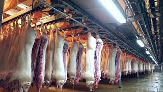 Amazing Pig Farm Technology  Modern Pig Slaughter amp Processing Factory  Gourmet Sausage Production [upl. by Ahseikal]