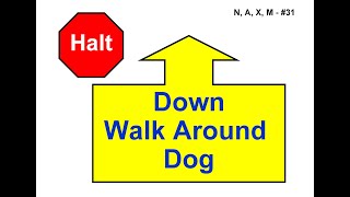 ANKC 2021 Rally Sign 31 Halt  Down  Walk Around Dog Novice [upl. by Akeimahs]