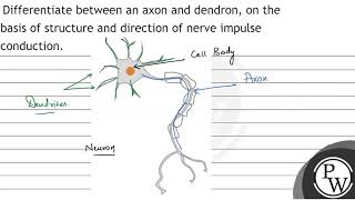 Differentiate between an axon and dendron on the basis of structur [upl. by Wilterdink17]