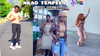 💃NKAO TEMPELA TRENDING DANCE CHALLENGE🎉  BY CHCCO MELLOW amp SLEAZY [upl. by Ynneh]