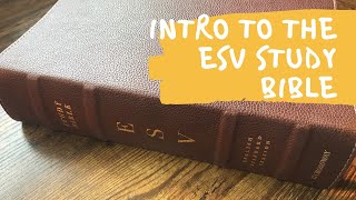 Introduction to the ESV Study Bible [upl. by Azeret587]