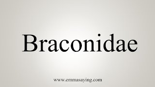 How To Say Braconidae [upl. by Serene163]