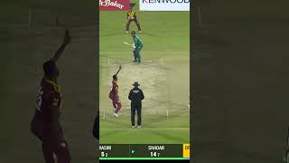 Shadab Khan Shines  Watch His Impressive 28 Runs Knock PAKvWI SportsCentral Shorts PCB MO2K [upl. by Noxid]