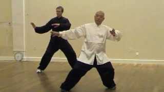 Tai Ji Quan Style Yang avec Maître H CHOY et T DOCTRINAL [upl. by Edmond484]