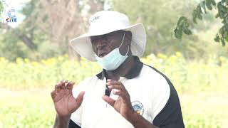 The Breakfast Club with Zenzele Ndebele  Mafesi Ncube Mangwe Farmer [upl. by Senior]