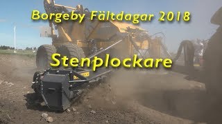 Borgeby Fältdagar 2018 Stenplockare [upl. by Ynnavoig]