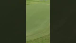 Emily Pedersen  Hole in One  World Record  Solheim Cup 2023 golf [upl. by Spector]