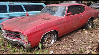 1971 Chevelle SITTING For 20ish Years  Will It Run NNKH [upl. by Lamond446]