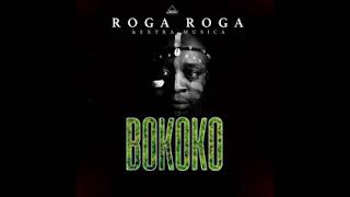 roga roga BOKOKO ft extra musica [upl. by Aloin109]