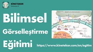 Araştırmacılar için Bilimsel Görselleştirme ve Sunum Hazırlama Eğitimi [upl. by Krischer516]