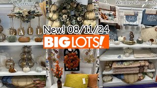 🍂 BIG LOTS FALL DECOR 2024  BIG LOTS SHOP WITH ME BIGLOTS FALLDECOR [upl. by Niles]