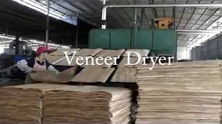 เครื่องจักรงานไม้  Veneer dryer เครื่องอบวีเนียร์ [upl. by Jarrell]