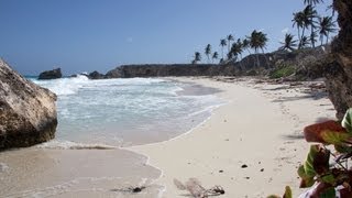 Turquoise Bay Dive amp Beach Resort  Roatan Honduras [upl. by Eedolem]