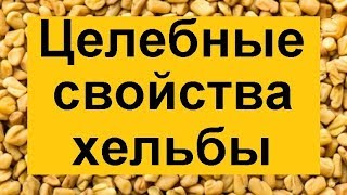 Пажитник полезные свойства и противопоказания [upl. by Nahc]