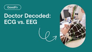 EEG vs ECG Explained  GoodRx [upl. by Rashida]