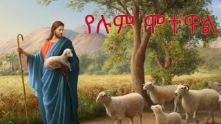 የሉም ሞተዋል Orthodox Mezmur Lyrics [upl. by Bolton]