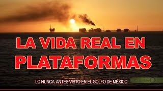 La vida real en Plataformas  Documental [upl. by Hansel]