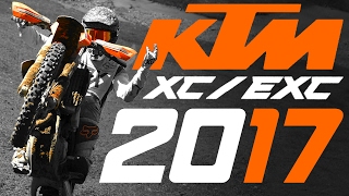 Best Running Small Bore 2 Stroke On The Planet  2023 KTM 125 XC [upl. by Zinnes]