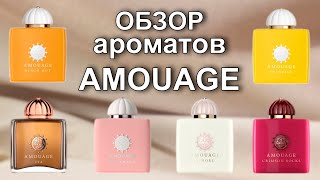 Большой обзор ароматов Amouage [upl. by Ummersen734]