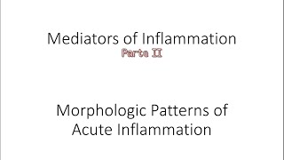 Clase 12  Mediadores de la inflamación pt II  Patrones morfológicos de la inflamación aguda [upl. by Culbert]