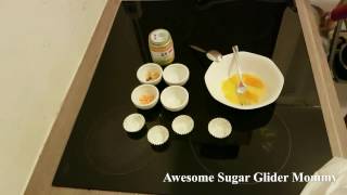 Cheat Meal For Sugar Gliders [upl. by Bret]