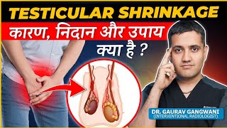 Understanding Testicular Shrinkage  Causes Symptoms and Treatment Options  Dr Gaurav Gangwani [upl. by Desirae]