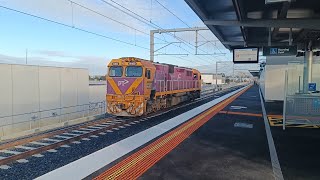 Vline Driver Training Runs past East Pakenham on 662024 [upl. by Calisa]