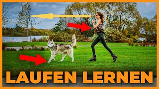 So lauft ihr einen Marathon mit Hund [upl. by Dnalloh]