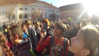 Tag der Kinderrechte Flashmob in Graz [upl. by Agn]