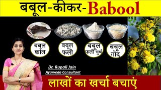 Amazing Health Benefits of बबूल कीकर Babool  सही आयुर्वेदिक सेवनविधि जरुरी  बबूल फली Powder [upl. by Ysdnyl]