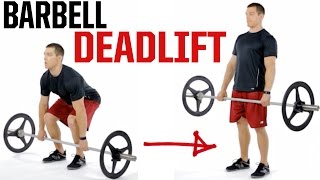 Barbell Deadlift [upl. by Luap928]