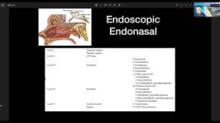 Extended Endoscopic Endonasal Approach For Clival Chordoma  Professor Selfy Oswari [upl. by Caren676]