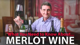 Merlot Your Essential Guide from French Merlot to the California Meritage Blend [upl. by Rimma]